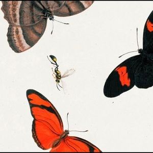 Meet your Posher, Abbey